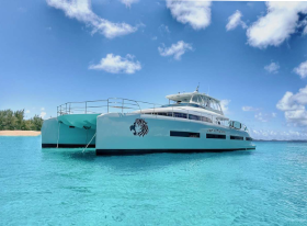 Jan's Feline a large, luxurious white motor catamaran with a black lion head graphic on its hull is anchored in calm, gray-blue water near a sparsely vegetated shoreline under a cloudy sky